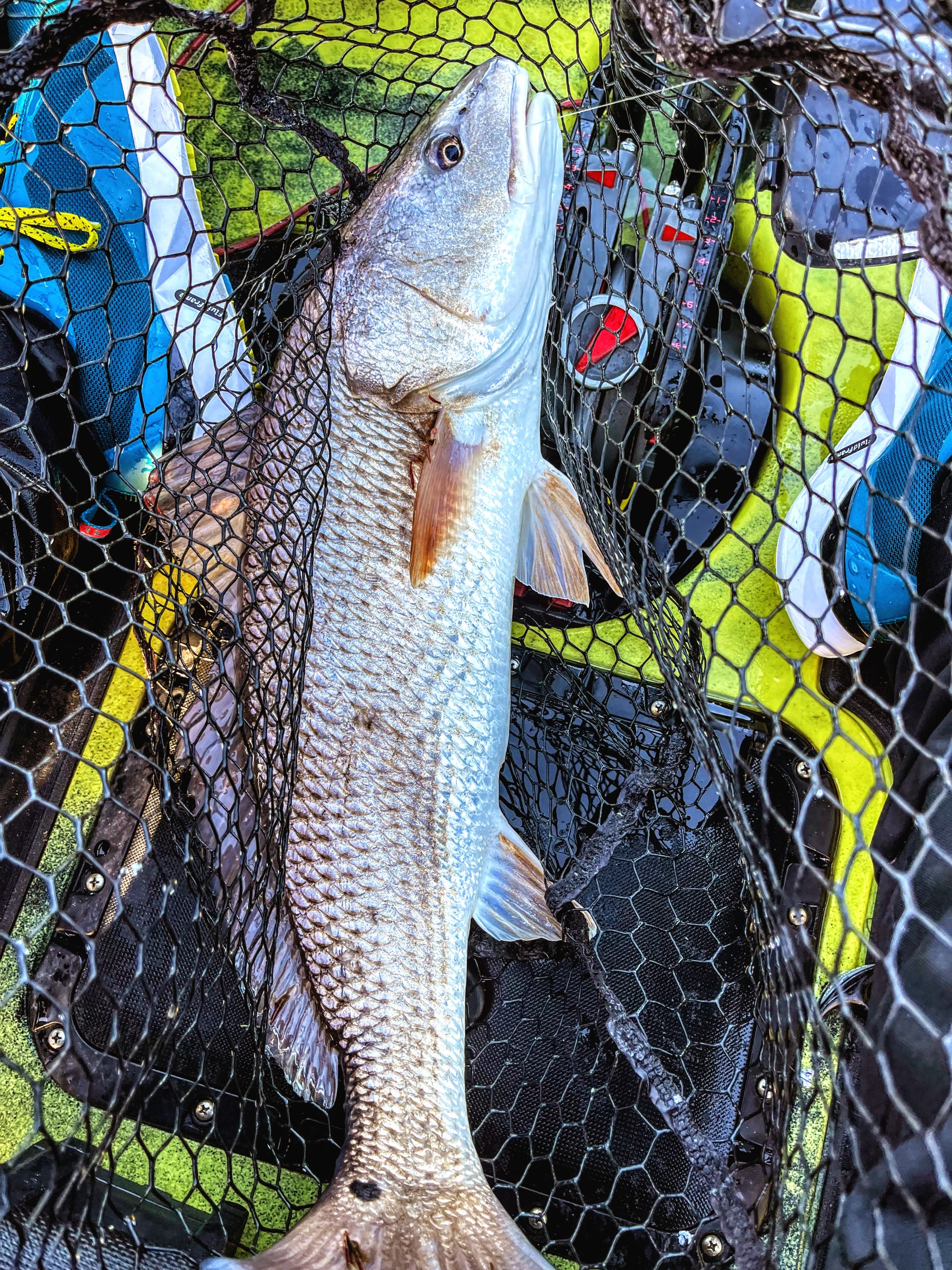 Redfish Red Drum Channel Bass Fly Fishing T-Shirt